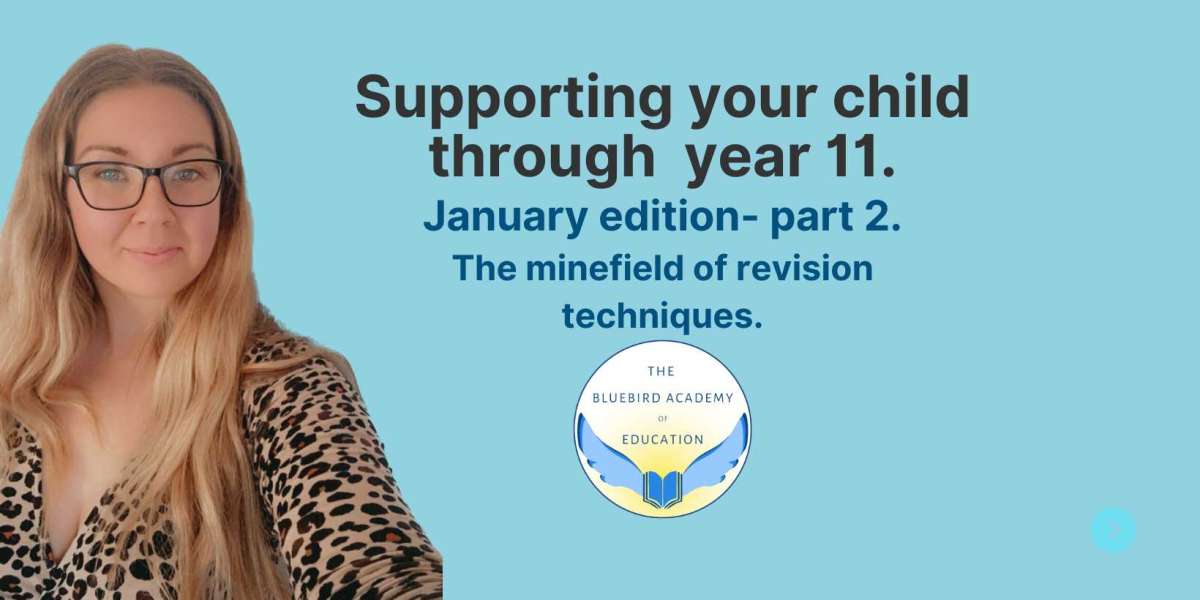 The minefield of revision techniques (January Revision tips- part 2)