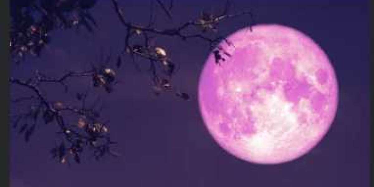 Setting Intentions: Harnessing the Power of the Flower Full Moon