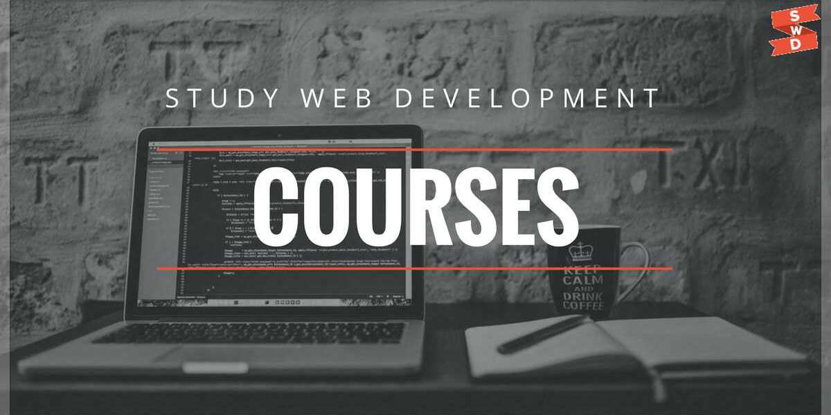 A Step-by-Step Guide to Taking Web Development, Python, and WordPress Courses
