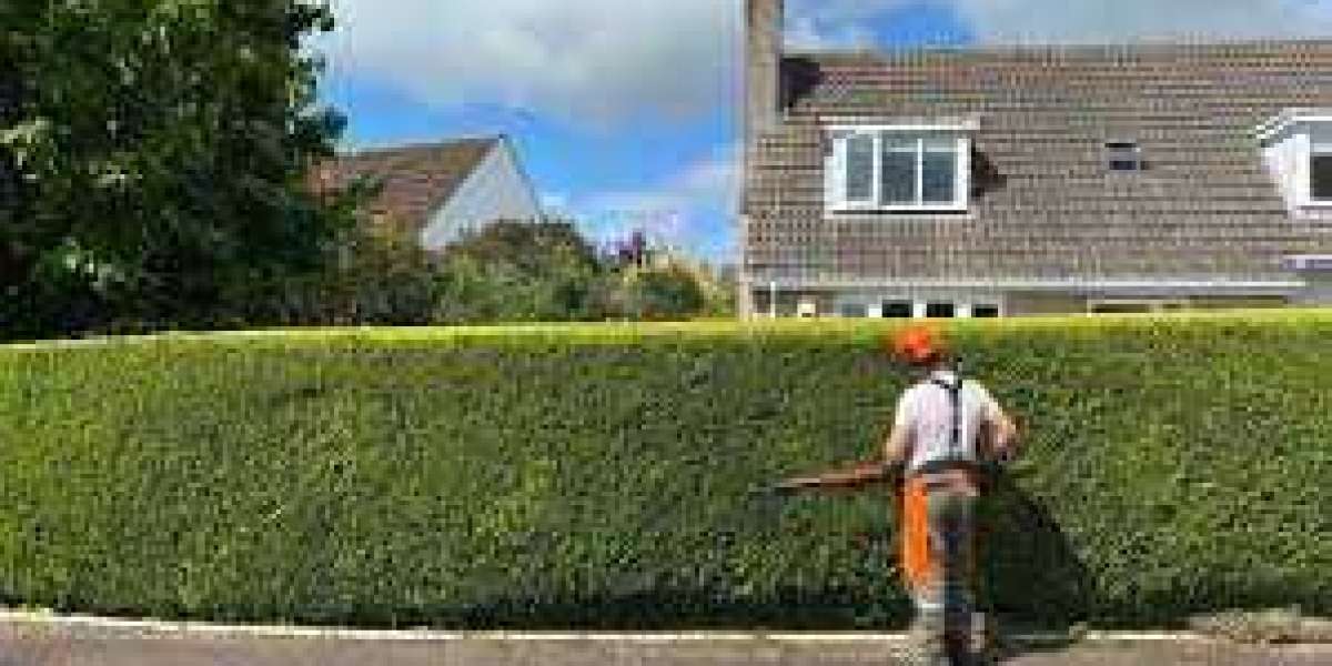 Transform Your Garden with Professional Hedge Trimming in Blackpool