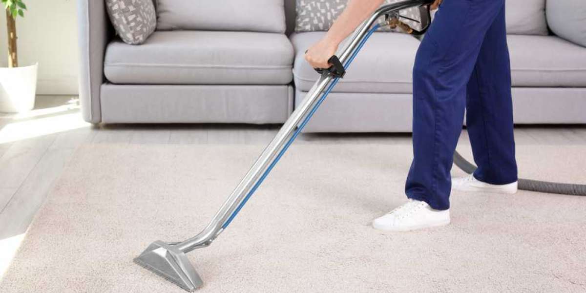 What to Expect from a Professional Carpet Cleaning Service: A Step-by-Step Guide