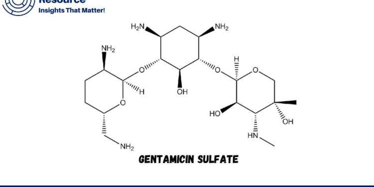 Comprehensive Gentamicin Sulfate Production Process Report: Detailed Cost Analysis and Market Insights
