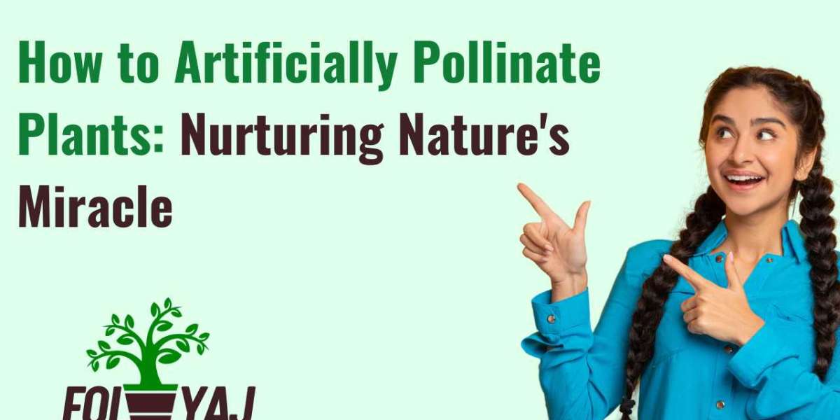 How to Artificially Pollinate Plants: Nurturing Nature's Miracle