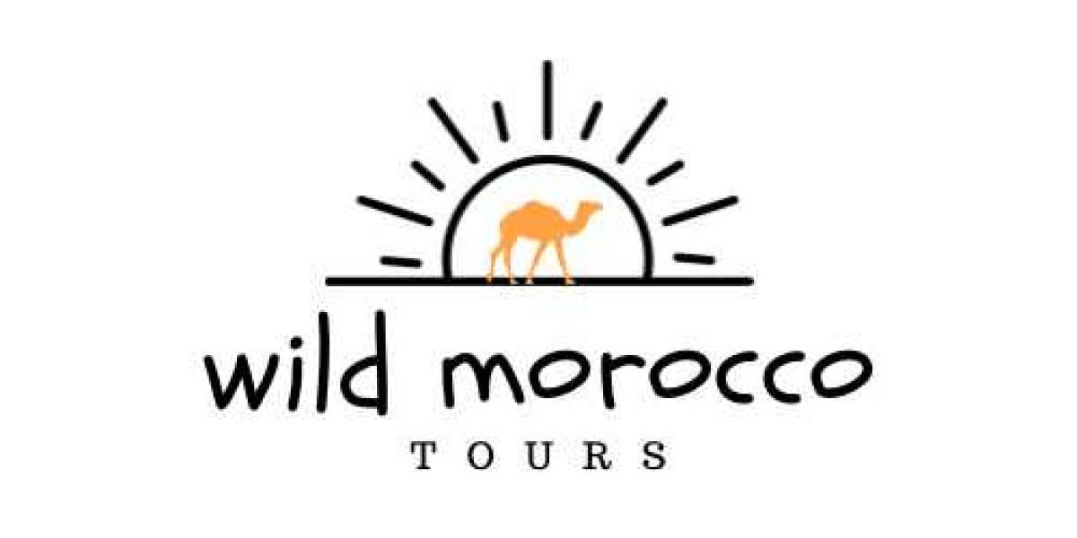 TOP THINGS TO DO IN MERZOUGA