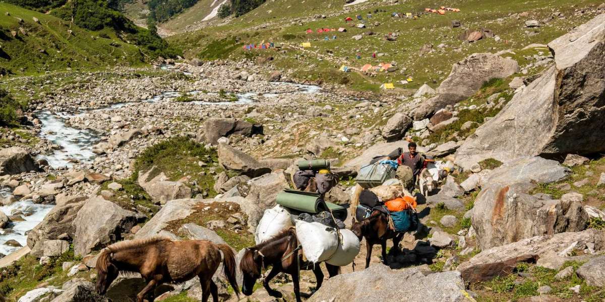 Journey Through the Himalayas: The Hampta Pass Adventure