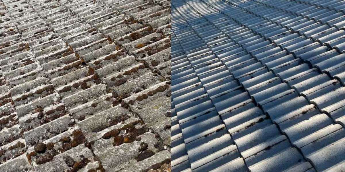 Shingle Shine: Proven Methods for a Pristine Roof!