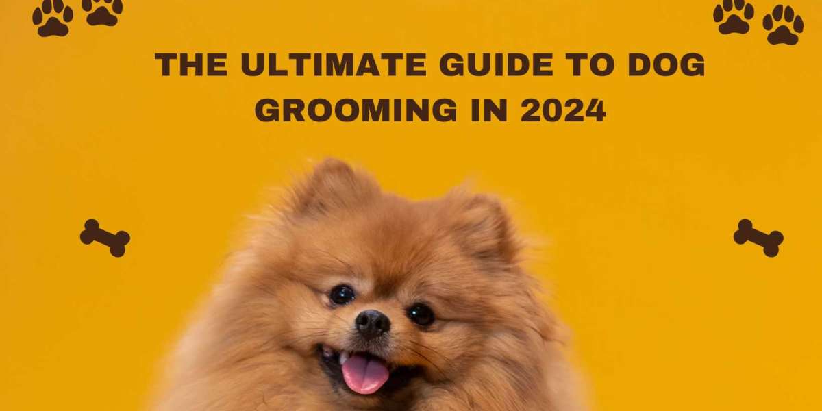 The Ultimate Guide to Dog Grooming in 2024