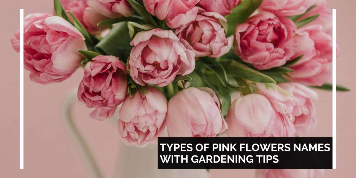 Types of Pink Flowers Names With Gardening Tips