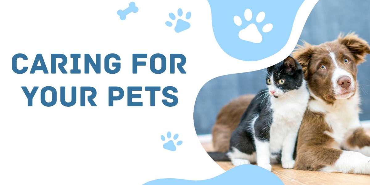 Caring for Your Pets: Essential Tips for 2024