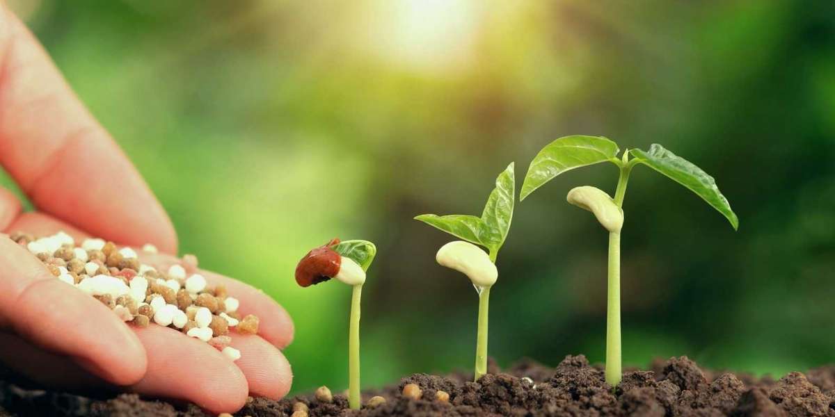 Setting Up an Organic Fertilizer Manufacturing Plant Report 2024