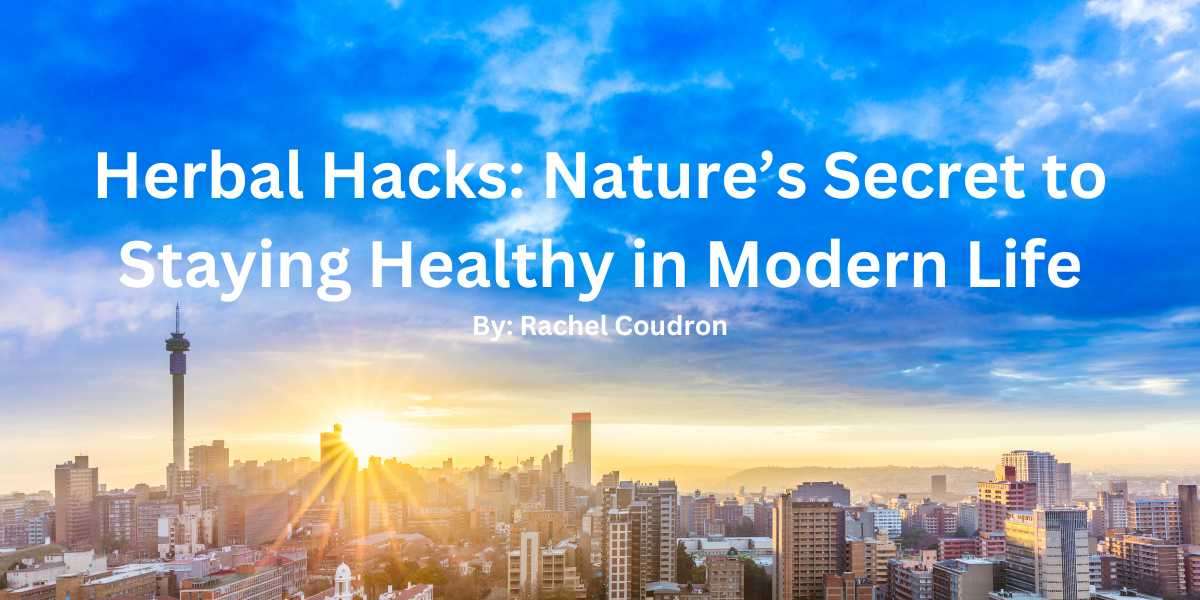 Herbal Hacks: Nature’s Secret to Staying Healthy in Modern Life