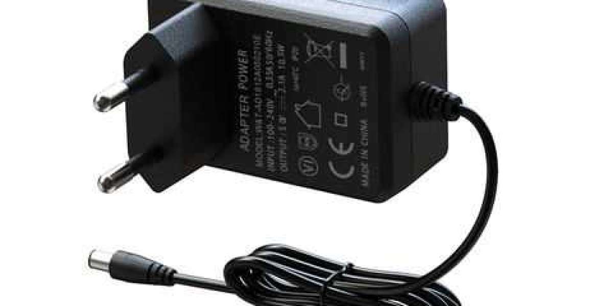 Understanding the Functionality of a DC 6V Charger: Key Features Explained