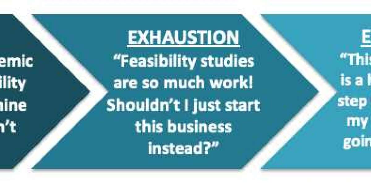 The Importance of a Well-Executed Feasibility Study in Project Success