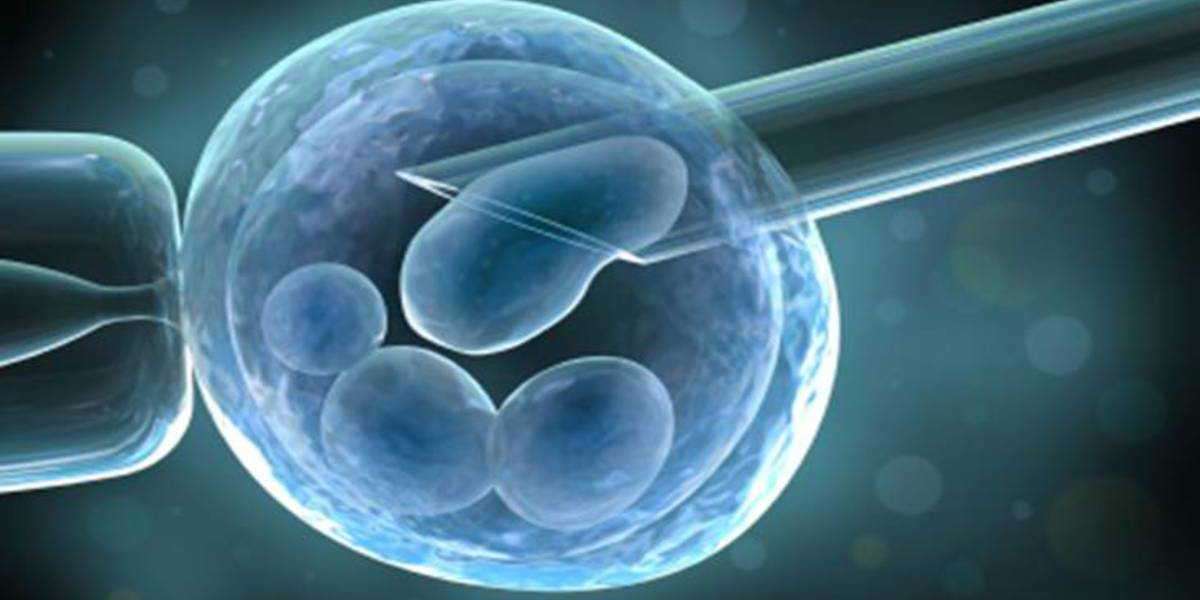 Human Embryonic Stem Cell Market Size, Share, Trends, Report 2032