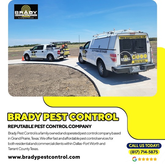 Brady Pest Control Grand Prairie, TX | Same Day Pest Control Solutions