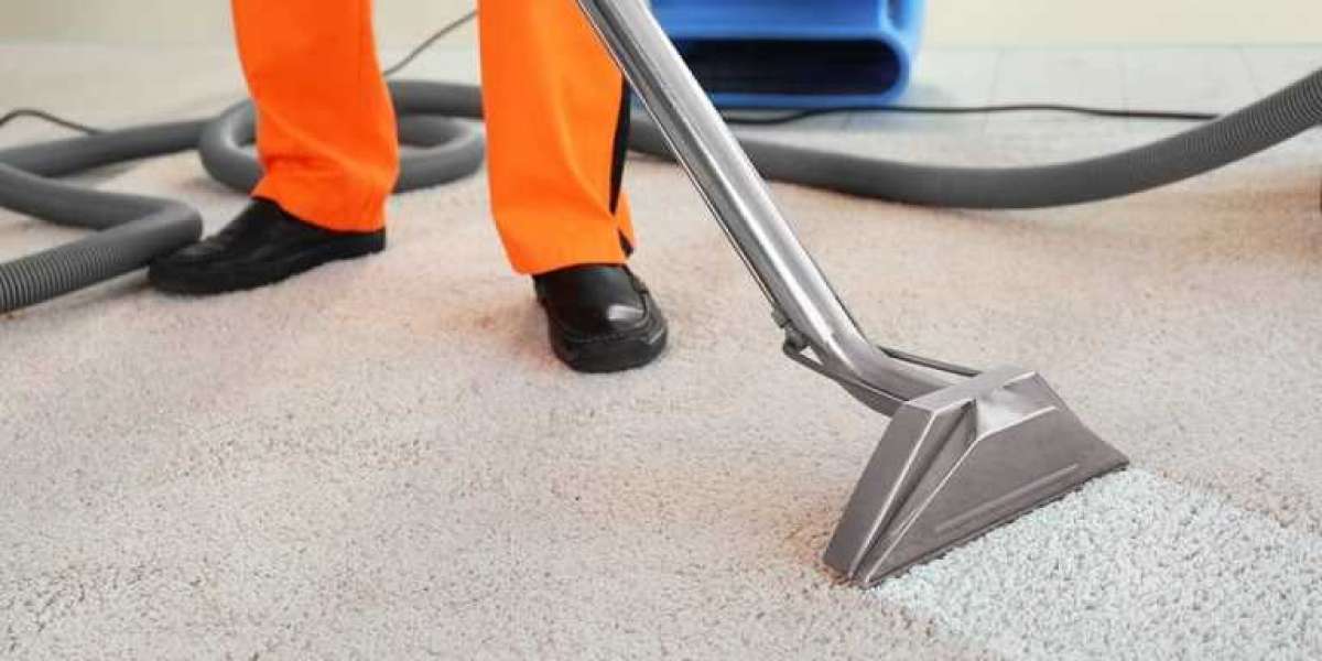 Enhance Your Home Comfort with Regular Carpet Cleaning