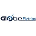 Flytrips Globe Profile Picture