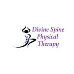 Divine Spine Physical Therapy profile picture