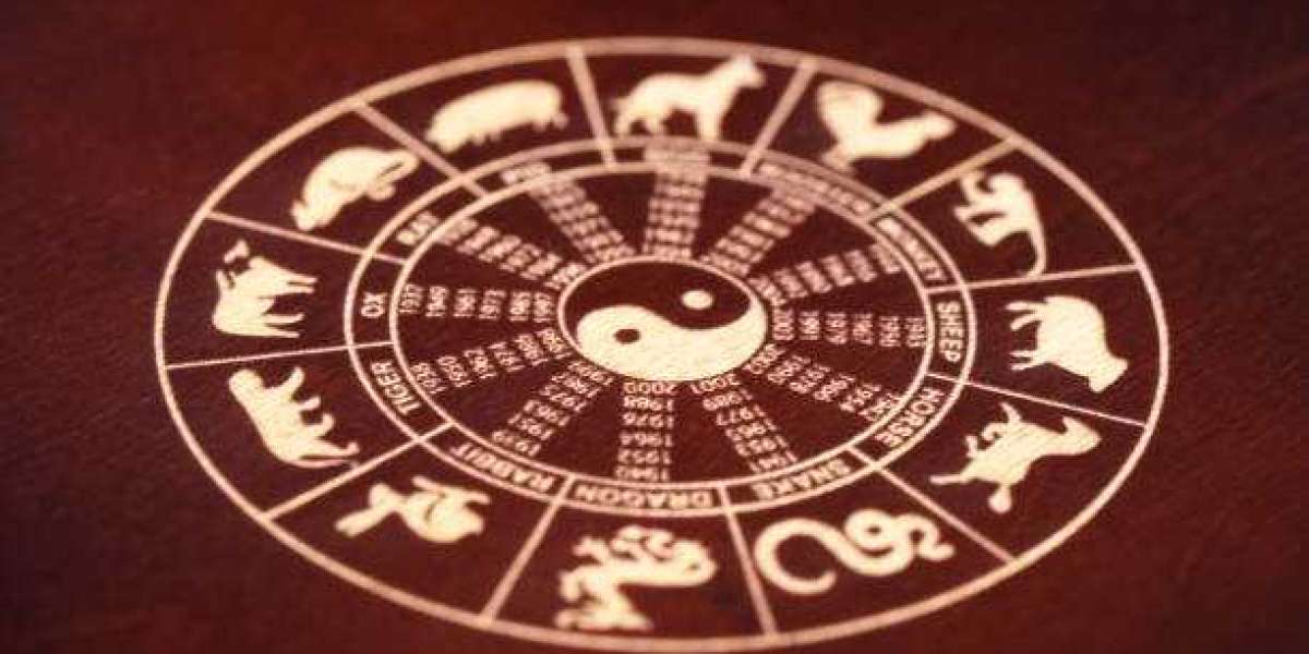 Consult Famous Astrologer Ahmedabad for accurate life predictions and guidance.