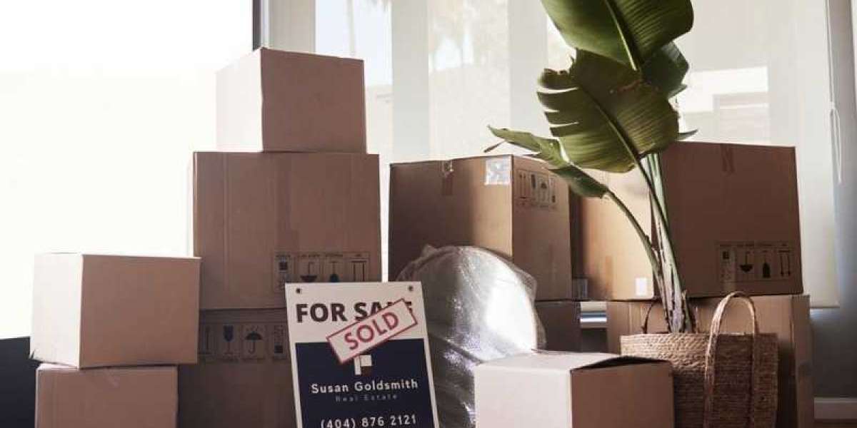 Moving Service in Tampa: Tranquil Design Solution