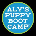 Alyspuppy Bootcamp Profile Picture