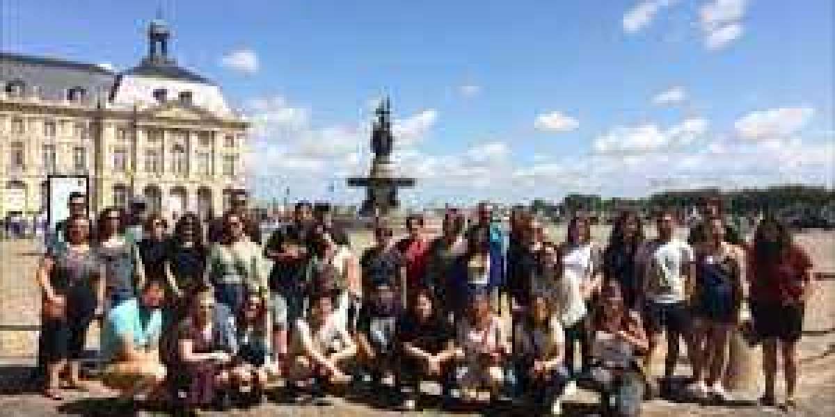 What Are the Best Free Walking Tours Bordeaux?