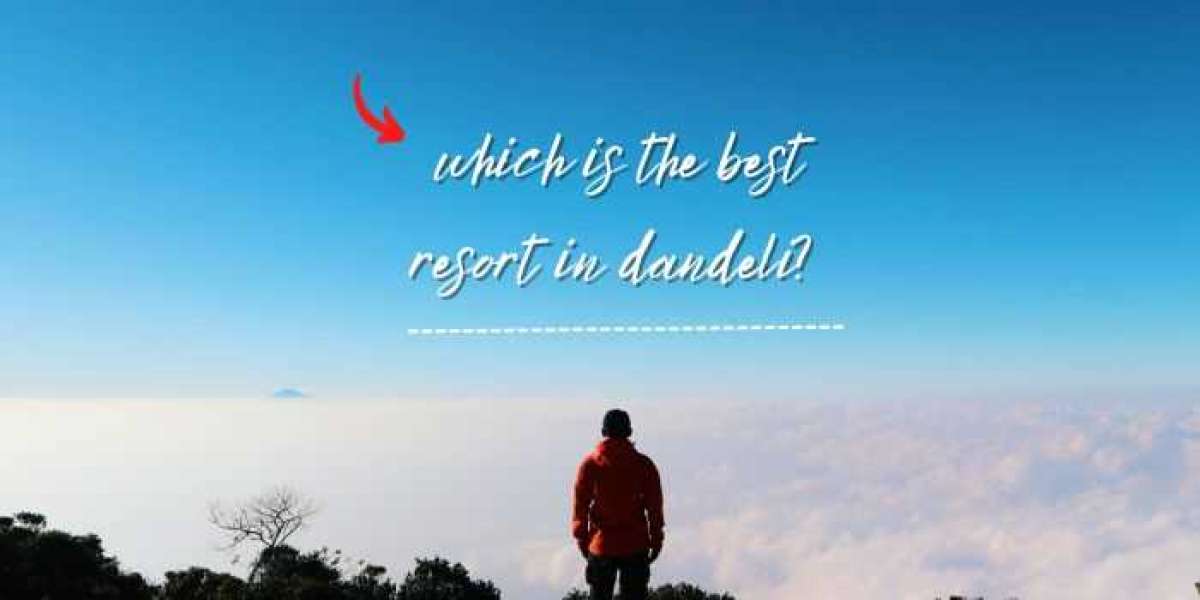 Which is the best resort to stay in in Dandeli?