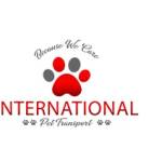 International Pet Transport Profile Picture