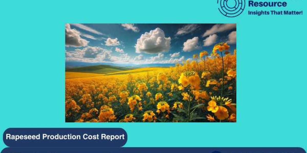 Comprehensive Analysis of Rapeseed Production Cost: Insights and Trends