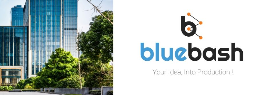 Bluebash Cover Image