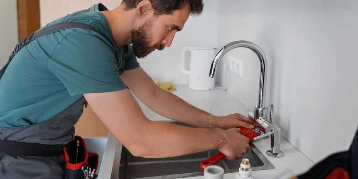 How to Choose the Best Chicago Plumbing and Drain Cleaning Experts for Your Home