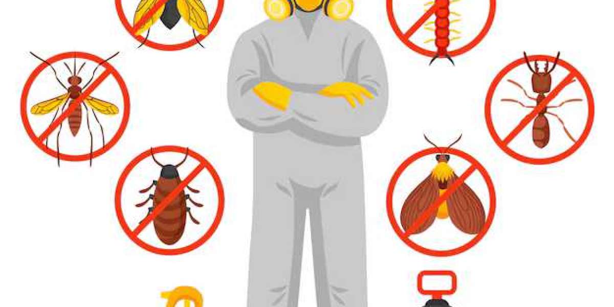 Eco-Friendly Pest Control Methods: Sustainable Solutions for a Healthier Home