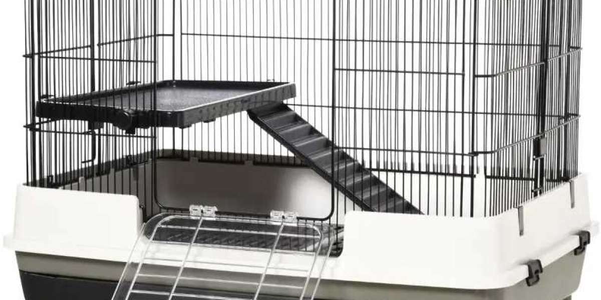 Best Hamster Cages for Your Home – A Complete Guide