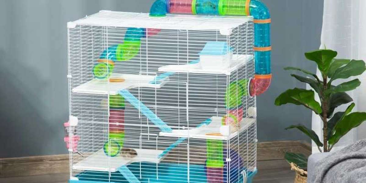 Selecting the Correct Hamster Cage for Your Pet