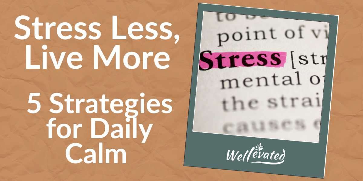 Stress Less, Live More: 5 Strategies for Daily Calm