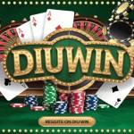 diuwin login Profile Picture