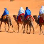 Marrakech desert Profile Picture