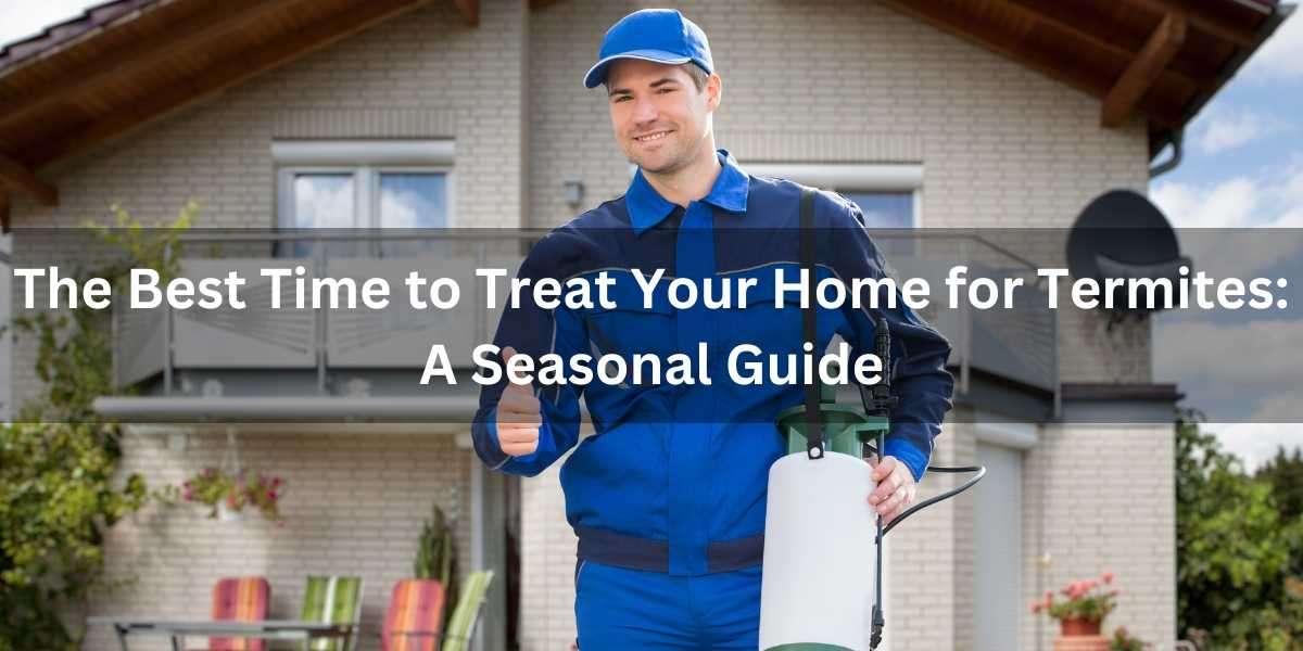 The Best Time to Treat Your Home for Termites: A Seasonal Guide