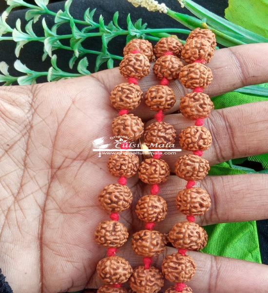 Rudraksh Japa Mala 108 Beads with One Guru Beads-Lab Certified