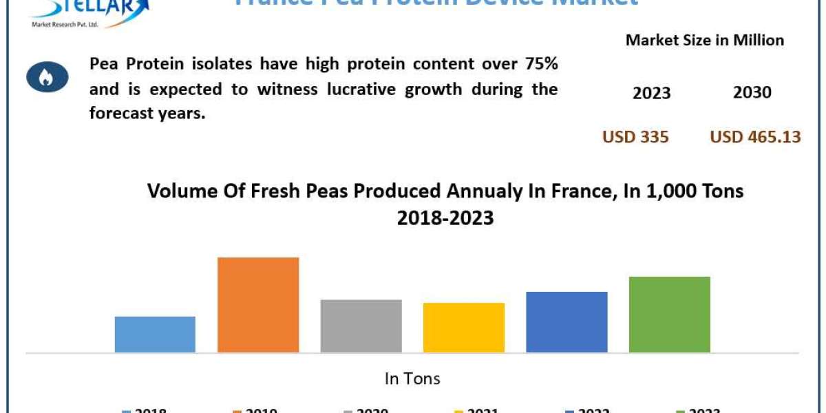 France Pea Protein Market Industry Business Overview, Future Trends, Top Key Manufacturers, Demands and Forecast to 2030