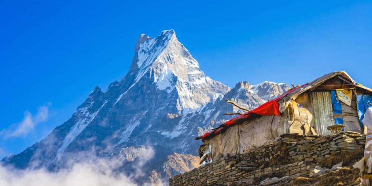 How to Trek Mardi Himal in 5 Days: Route, Cost & Tips