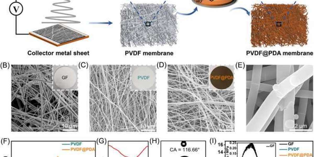 Functionalized Poly(vinylidene fluoride) (PVDF) Membranes for Enhanced Aqueous Zinc-Ion Battery Performance
