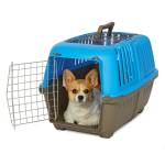 dog carrier Profile Picture