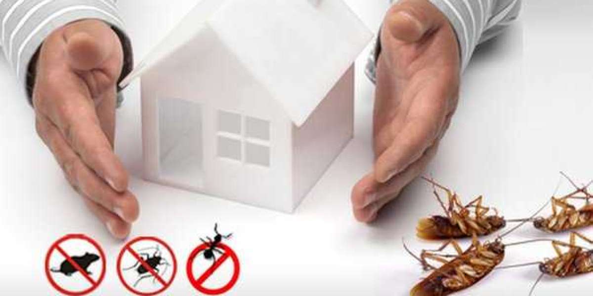 How to Detect & Eliminate Subterranean Termites Before They Cause Major Damage