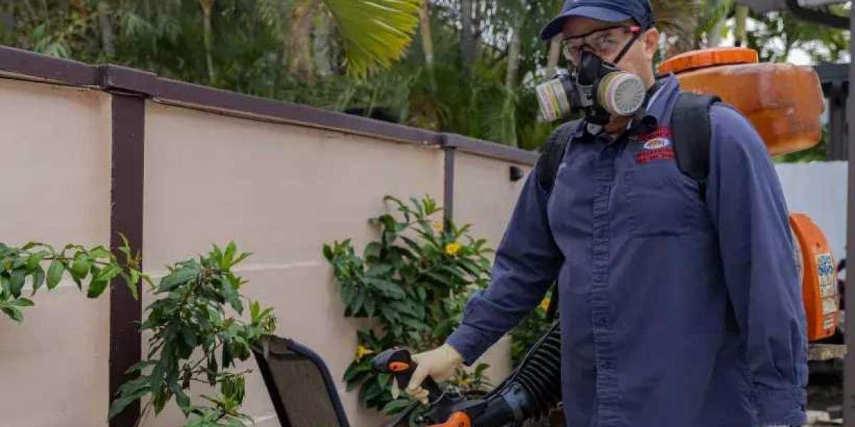 Hire a Trusted Exterminator to Eliminate Pests Fast and Safely
