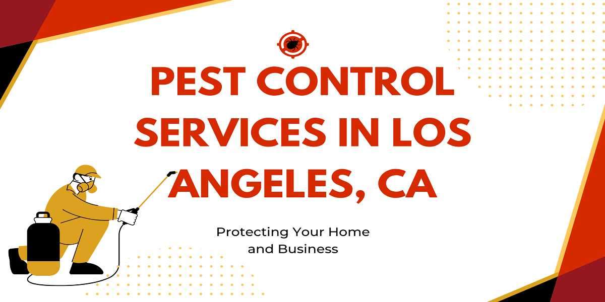 How Do I Prevent Spiders in My Home This Fall?