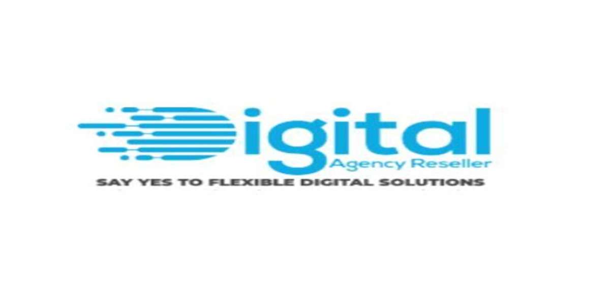 Why do more and more agencies choose SEO Services resellers to help with their growth?