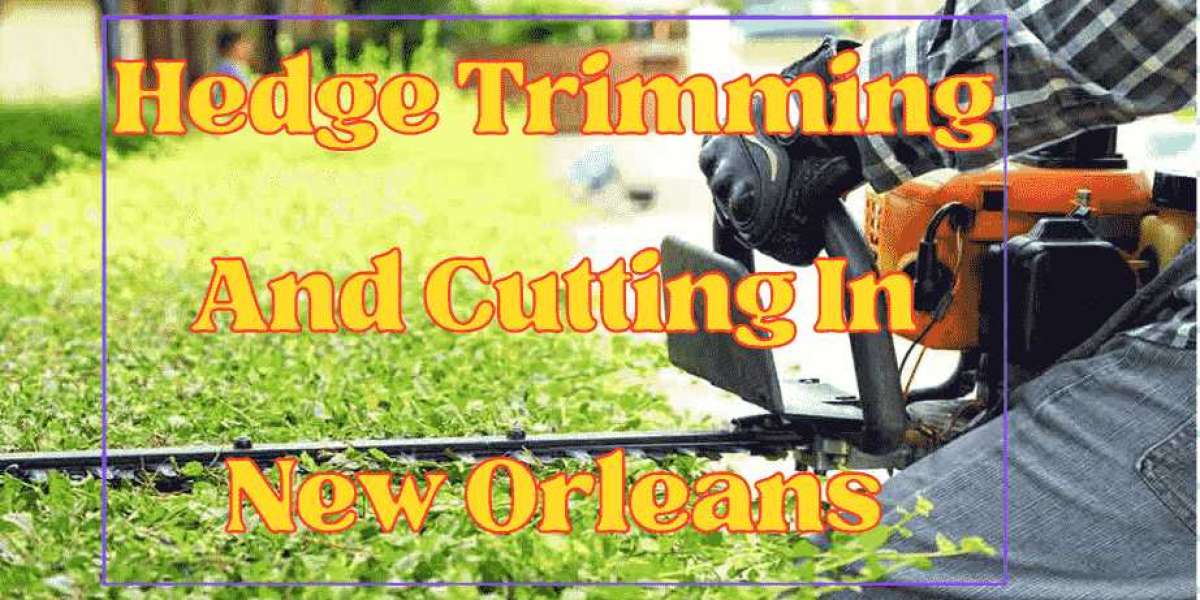 Premier Tree Removal Services by Audubon Tree Care: Leave Your Trees in Expert Hands