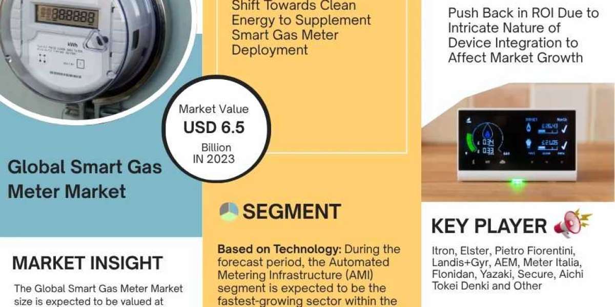 Smart Gas Meter Industry Analysis 2025–2030: Market Insights & Forecast