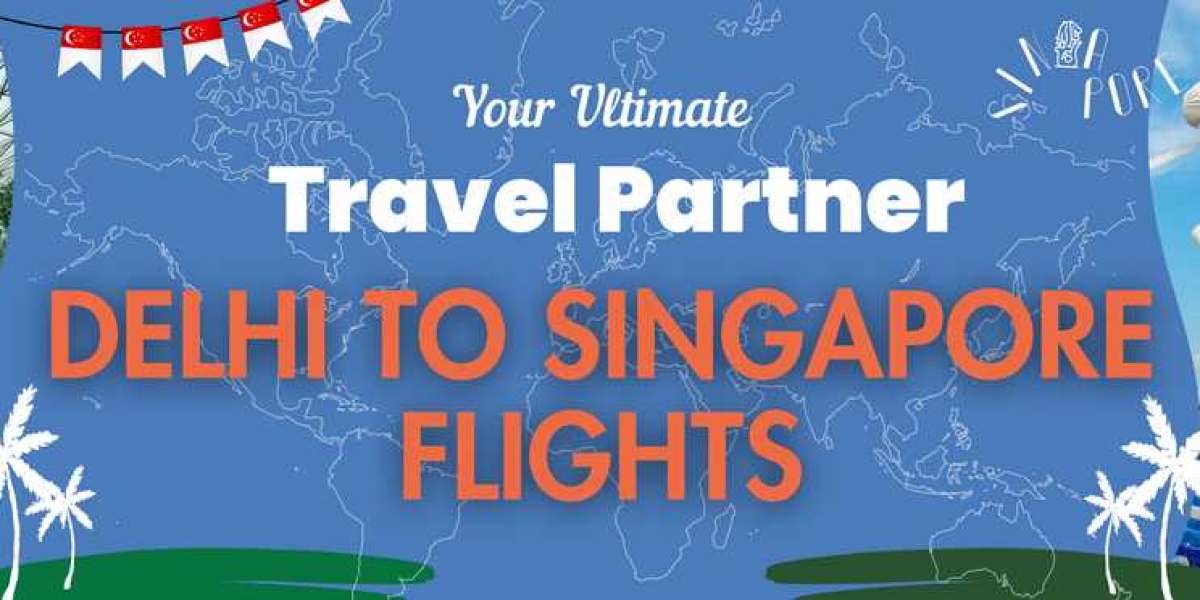 Delhi to Singapore flight